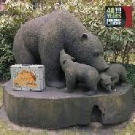 40 Years Bear Family Records - 40!!! Years Bear Family Records