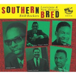 Louisiana & New Orleans R&B Rockers Vol. 13