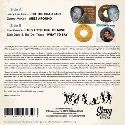 White Kids Wild Over The Rhythm Of...Ray Charles