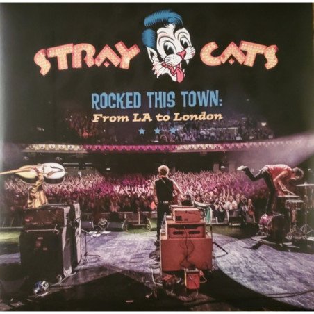 Rocked this Town